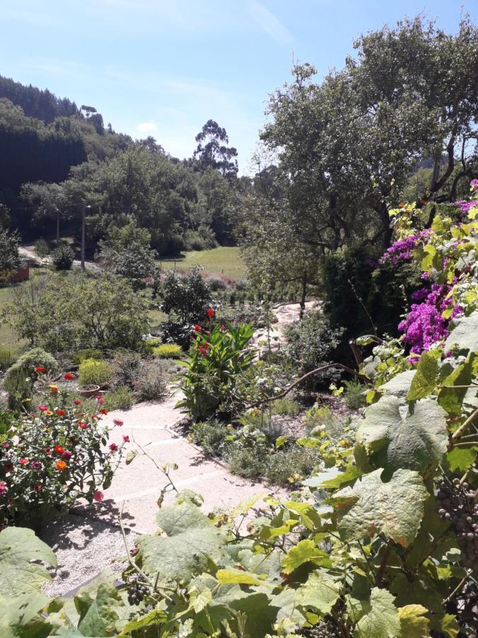 Paca Casa Rural. Arts And Landscape In Asturias 希洪 外观 照片