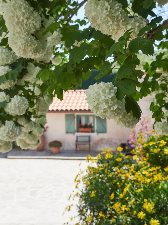 Paca Casa Rural. Arts And Landscape In Asturias 希洪 外观 照片