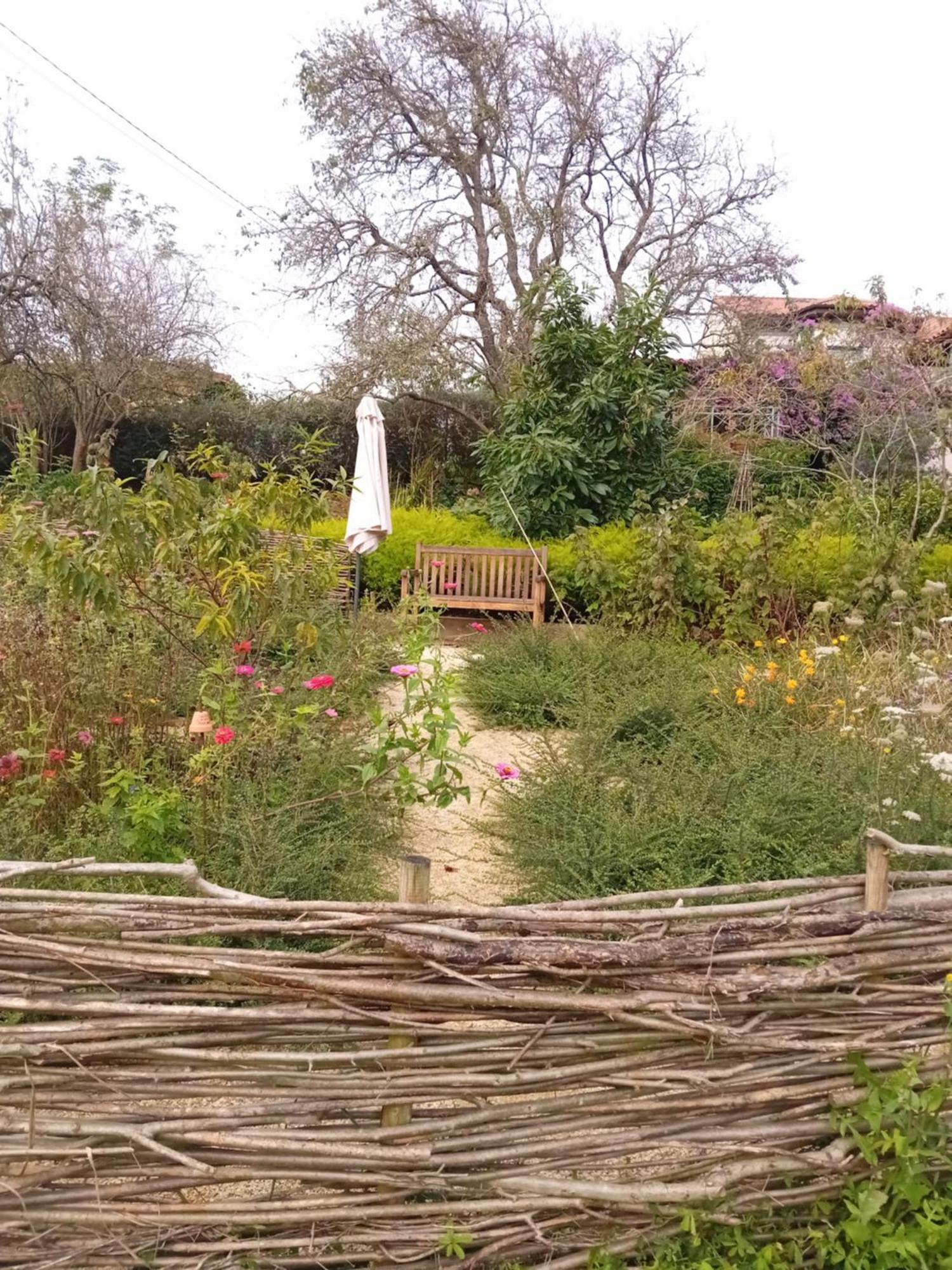 Paca Casa Rural. Arts And Landscape In Asturias 希洪 外观 照片