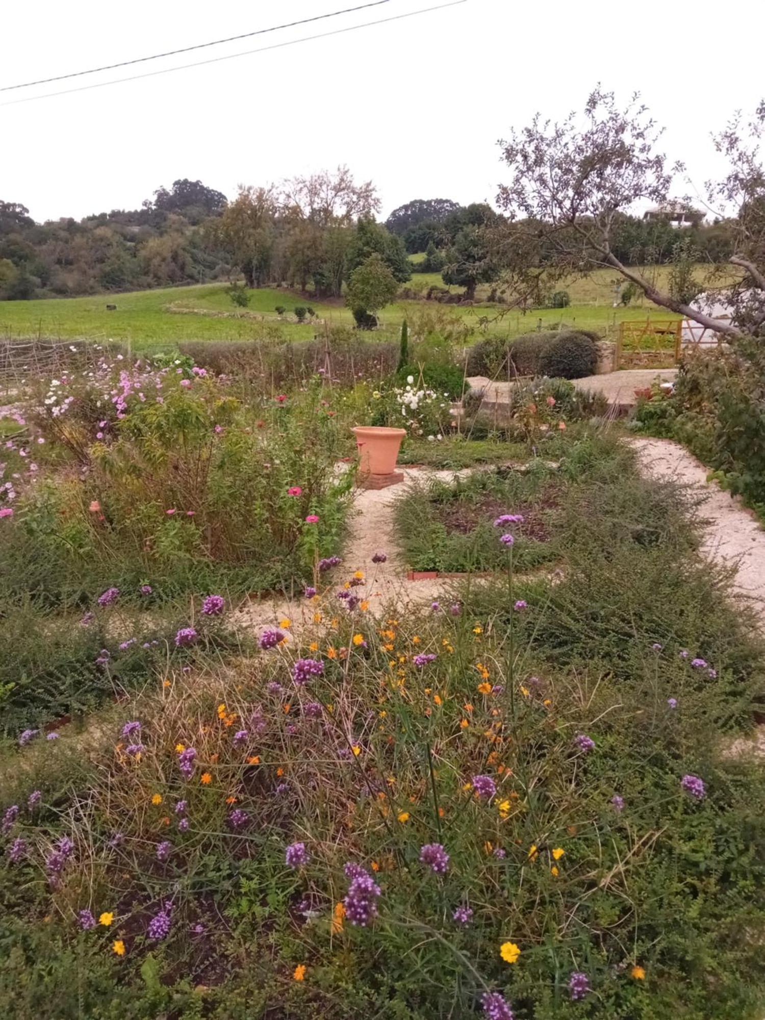 Paca Casa Rural. Arts And Landscape In Asturias 希洪 外观 照片